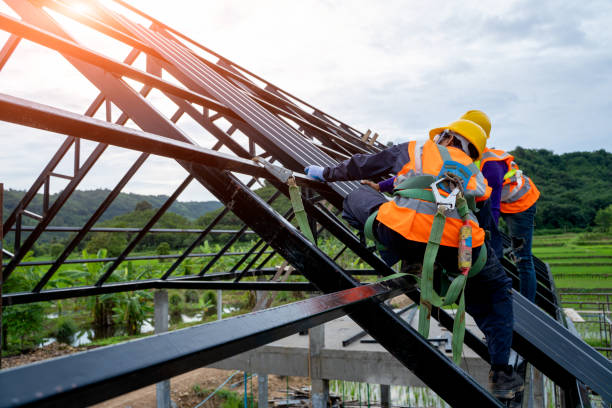 Best Roof Maintenance Services  in Montevlo, AL