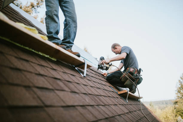 Best Storm Damage Roof Repair  in Montevlo, AL
