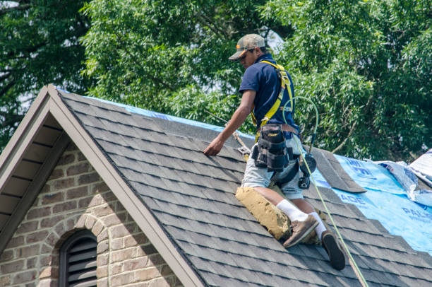 Best Roof Inspection Near Me  in Montevlo, AL